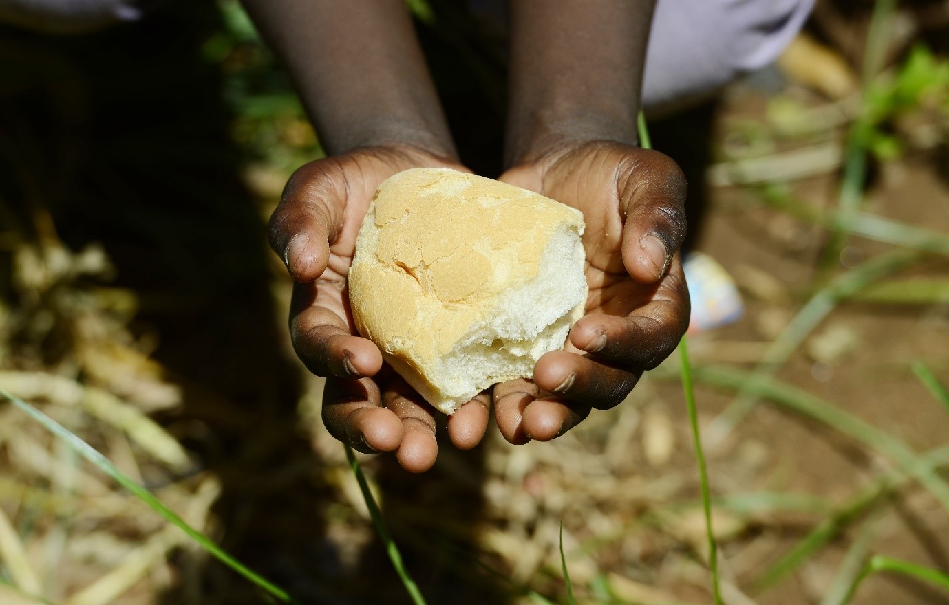 NGS INSIGHT FOOD INSECURITY IN SOUTHERN AFRICA NGS